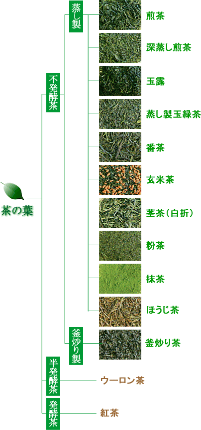 お茶の種類とそれぞれの特徴